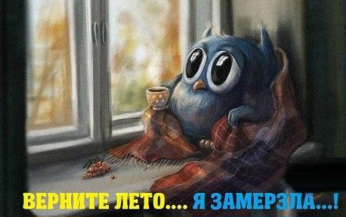 Дом Мечты Болталка: перезагрузка