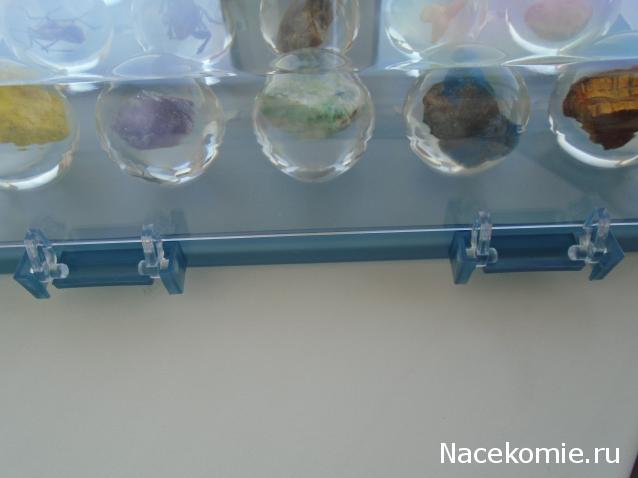 Чудеса Природы. Подписка