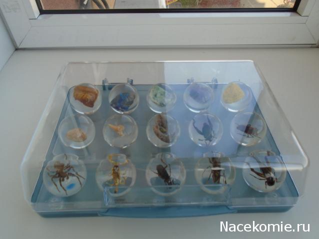 Чудеса Природы. Подписка