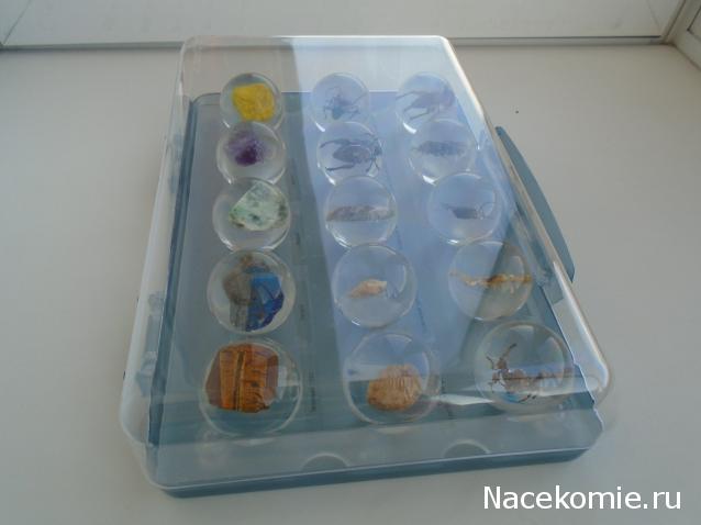 Чудеса Природы. Подписка