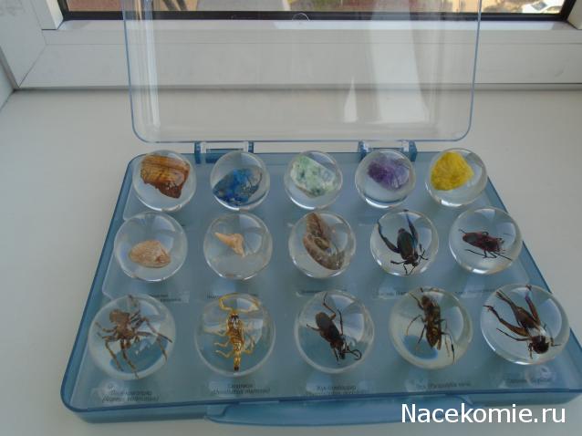 Чудеса Природы. Подписка