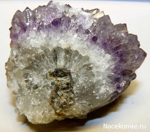 Минералы. Специальный выпуск №3 - Аметист
