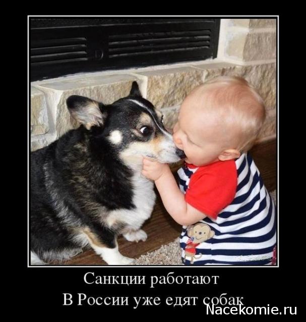 Солдаты ВОВ - Землянка (общение на разные темы)