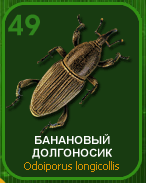Насекомые и их знакомые 2014 - График Выхода и обсуждение