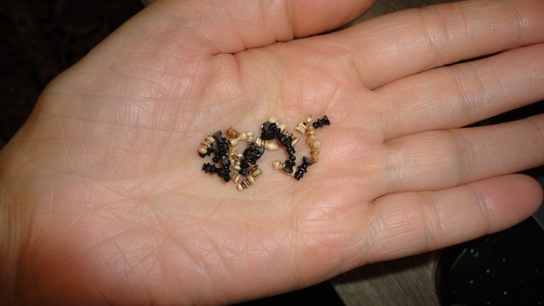 Дом Мечты. Аксессуары и мебель своими руками часть 2