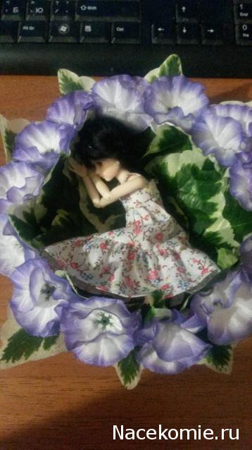 Куклы из наших коллекций №3. Авторские, антикварные, BJD куклы