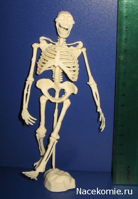 Мебель и аксессуары для кукольного дома НЕ ИЗ ЖУРНАЛА