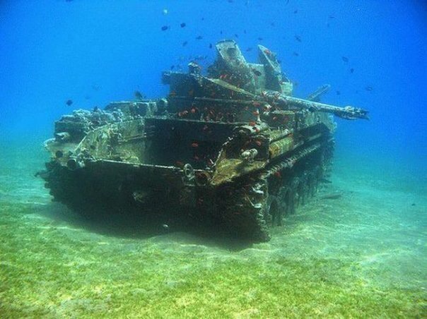 Танкодром (Общая Болталка танковых разделов)