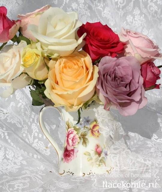 wangels  Имение Рапти - реконструкция мечты!