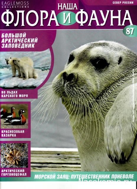 Наша Флора и Фауна - журнал (Eaglemoss)