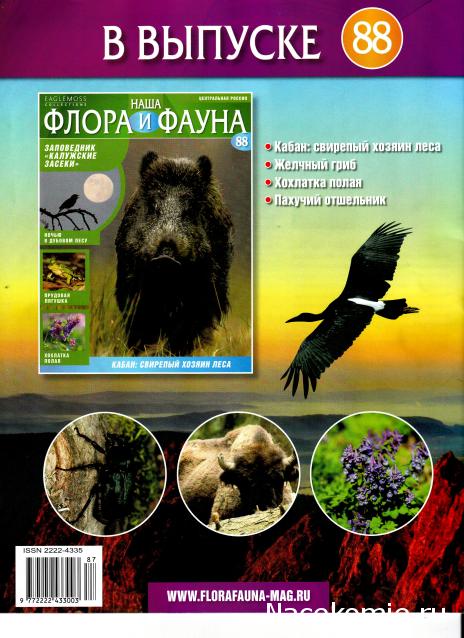 Наша Флора и Фауна - журнал (Eaglemoss)