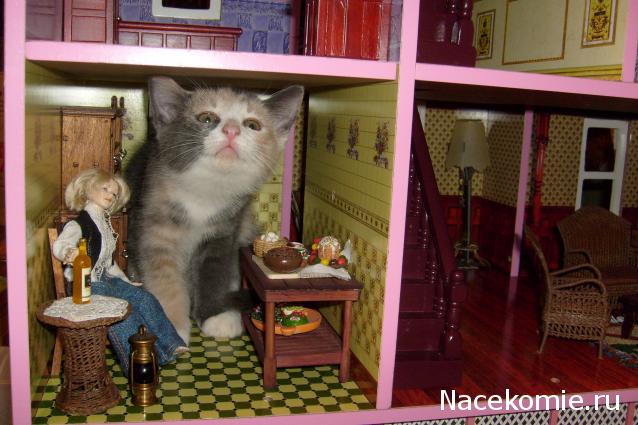 wangels  Имение Рапти - реконструкция мечты!