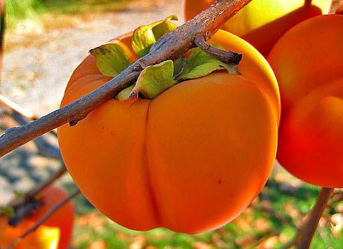 repLIka - Лучше поздно, чем никогда