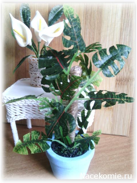 Anastasia24 Мой маленький мир...или ушла в детство))