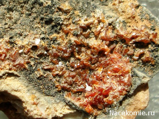 Минералы Сокровища Земли №59 - Ванадинит