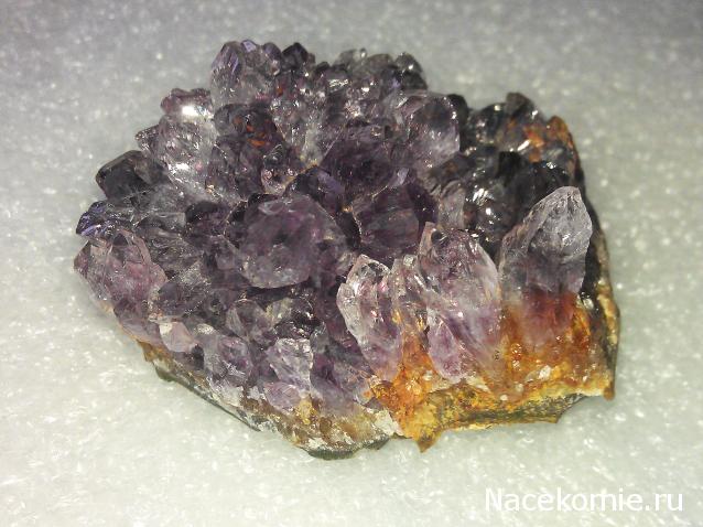 Минералы. Специальный выпуск №3 - Аметист