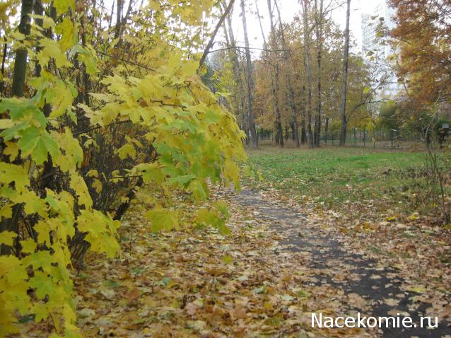 Куклы в народных костюмах – "Девчушки-болтушки"