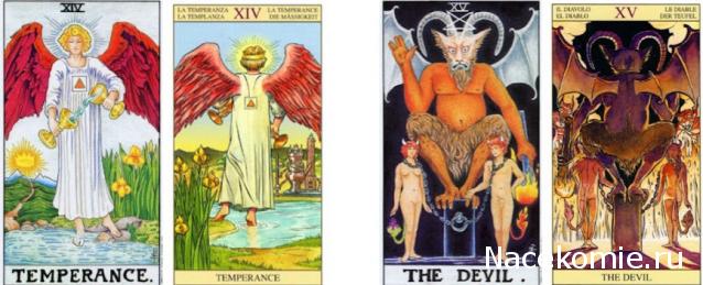 Таро Нью Вижн