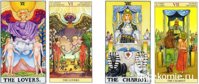 Таро Нью Вижн