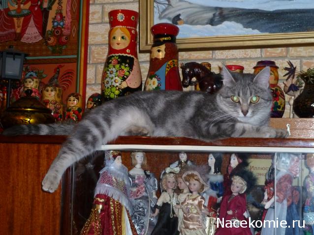 Куклы в народных костюмах – "Девчушки-болтушки"