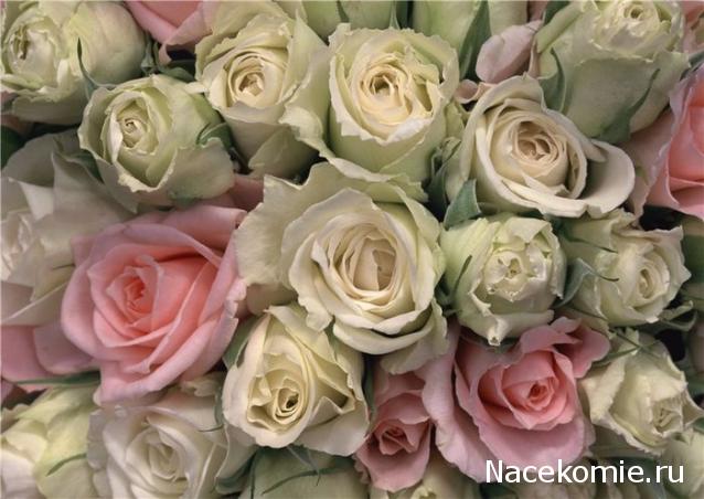 wangels  Имение Рапти - реконструкция мечты!