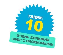 Чудеса Природы - График Выхода и обсуждение