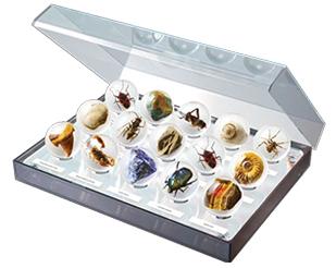 Чудеса Природы хранение журналов и коллекции