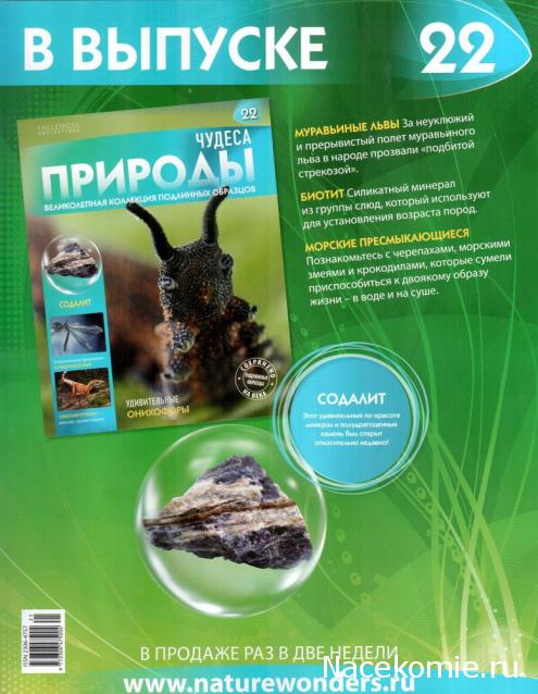 Чудеса Природы - График Выхода и обсуждение