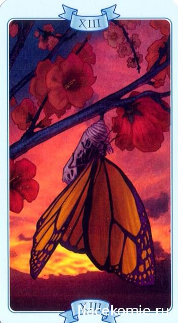 Многоликое Таро. Обсуждение колод