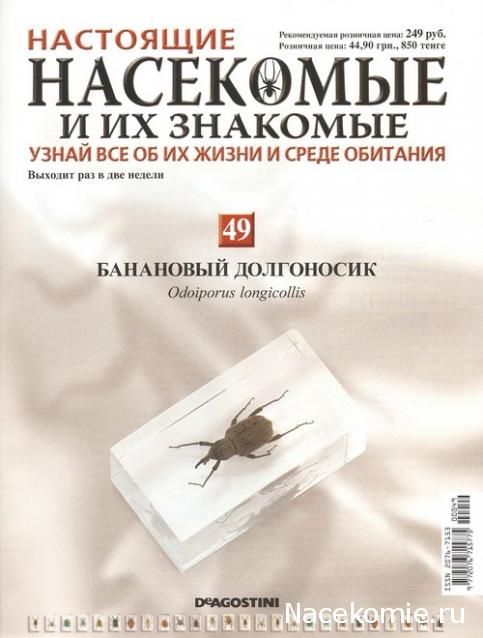 Насекомые и их знакомые 2014 - График Выхода и обсуждение