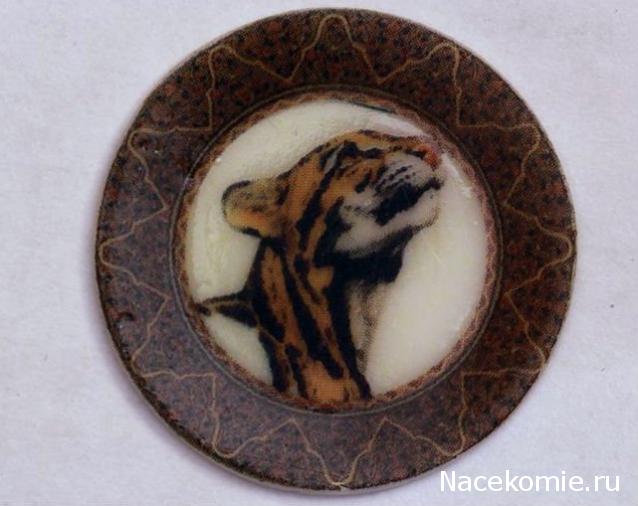 Caracal, строительство в разгаре