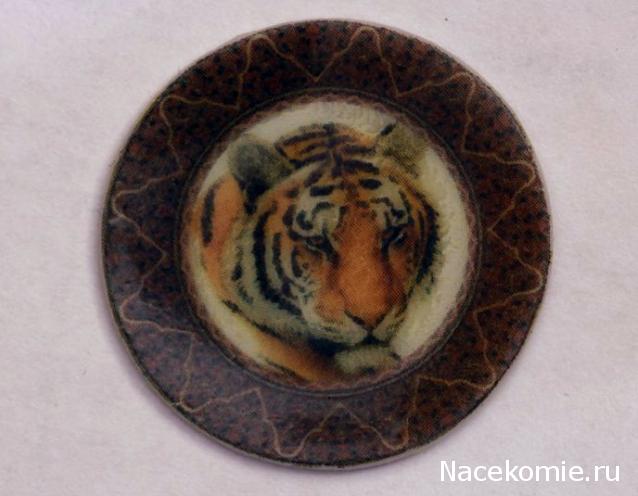 Caracal, строительство в разгаре