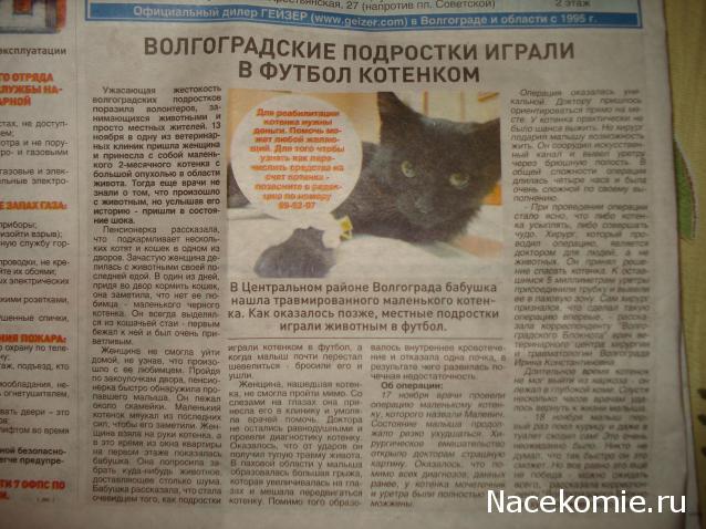 Болталка или кукольные посиделки