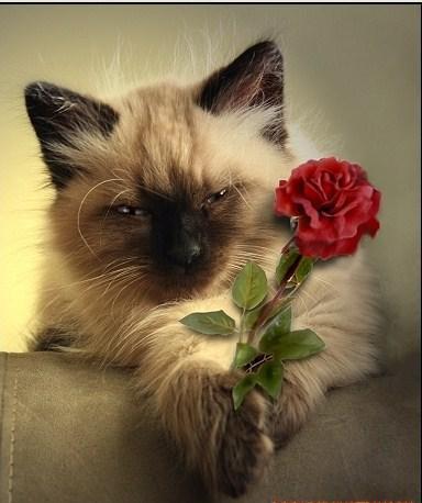 Наши Дни Рождения