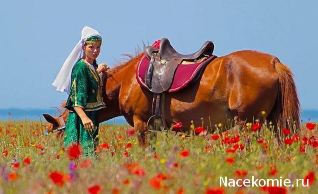 Куклы в народных костюмах - График выхода, обсуждение
