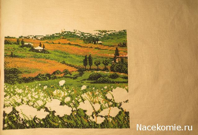 100 крестиков!