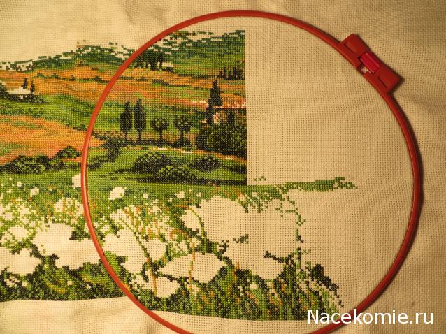 100 крестиков!