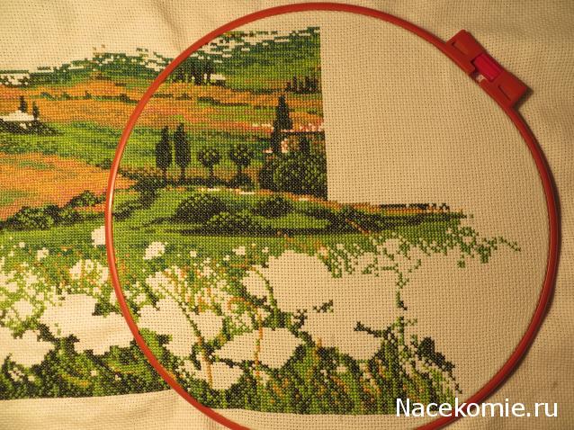 100 крестиков!