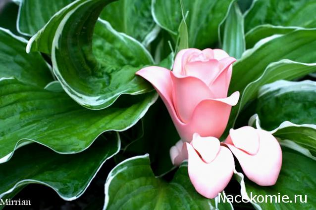 Olina55 - играем в старину