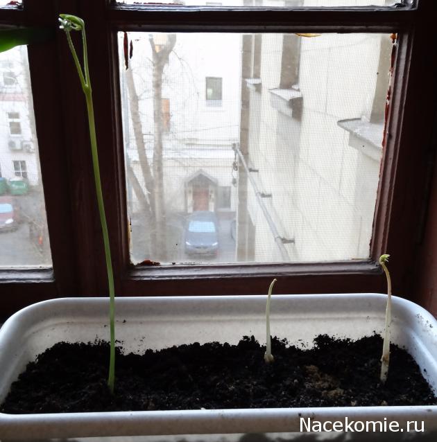 Marisha39 - Минички