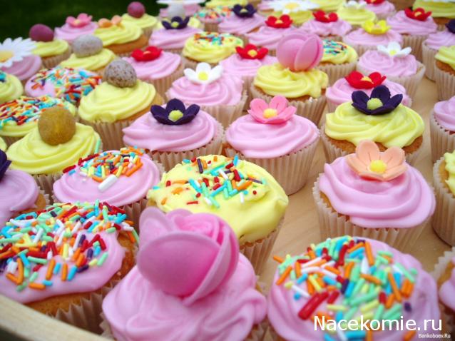 Наши Дни Рождения