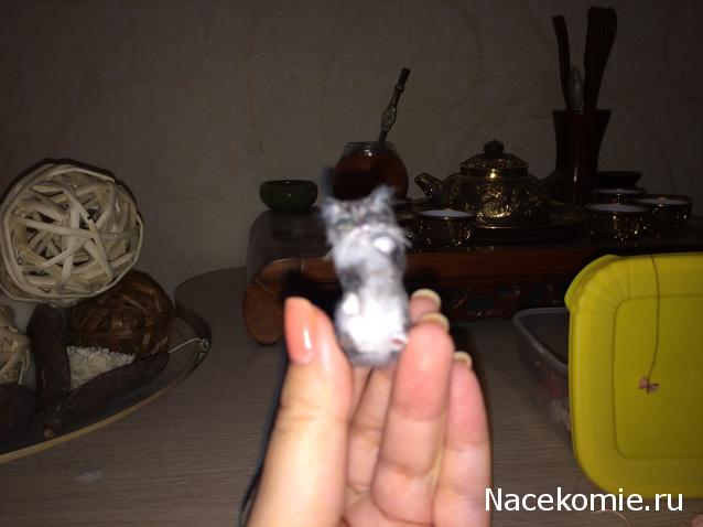 Жильцы Дома Мечты фото, ссылки, обсуждение