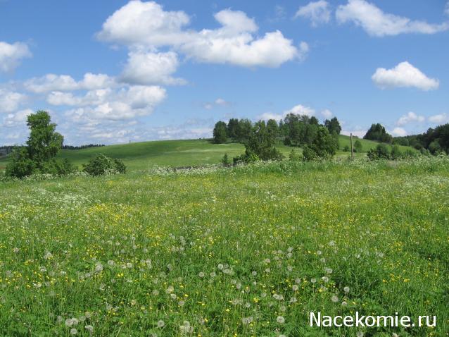 Куклы в народных костюмах №14 Кукла в летнем костюме Вологодской губернии