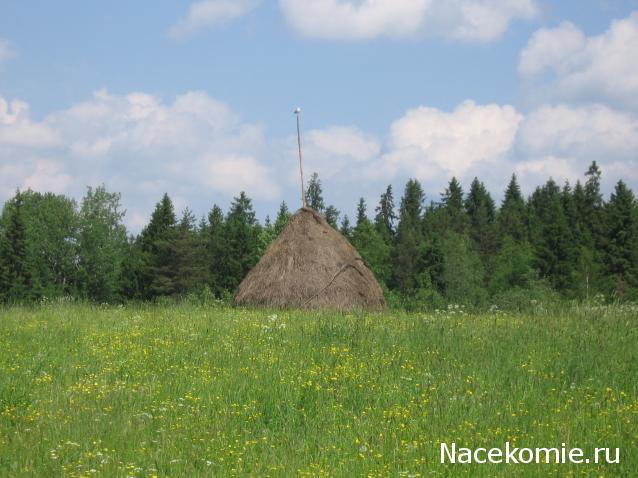 Куклы в народных костюмах №14 Кукла в летнем костюме Вологодской губернии