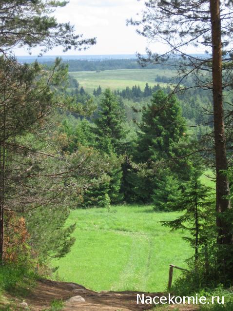 Куклы в народных костюмах №14 Кукла в летнем костюме Вологодской губернии