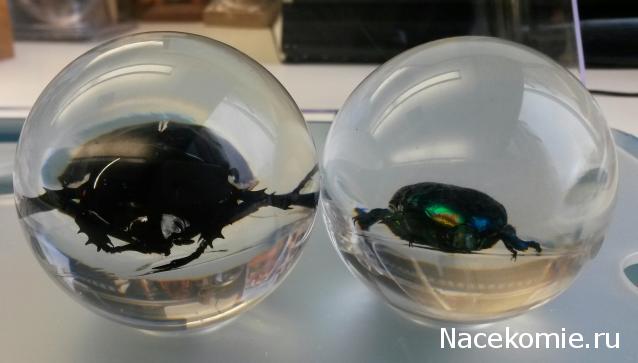 Чудеса Природы хранение журналов и коллекции