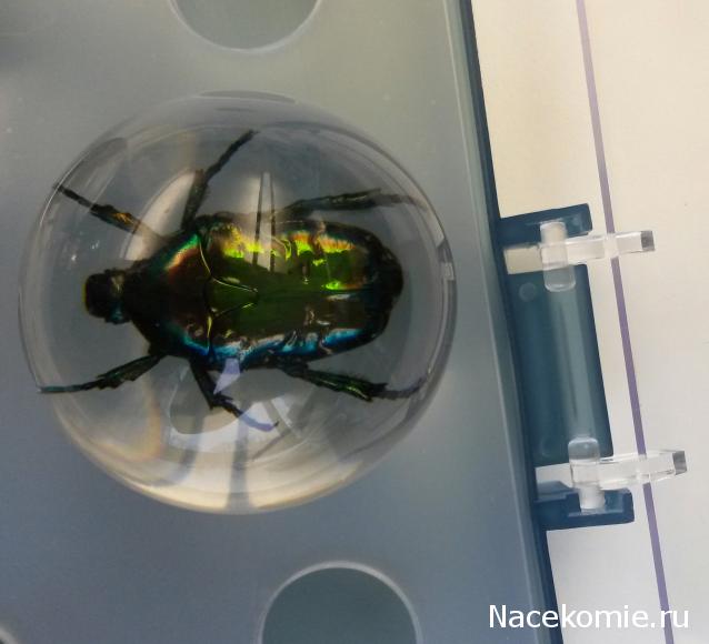 Чудеса Природы хранение журналов и коллекции