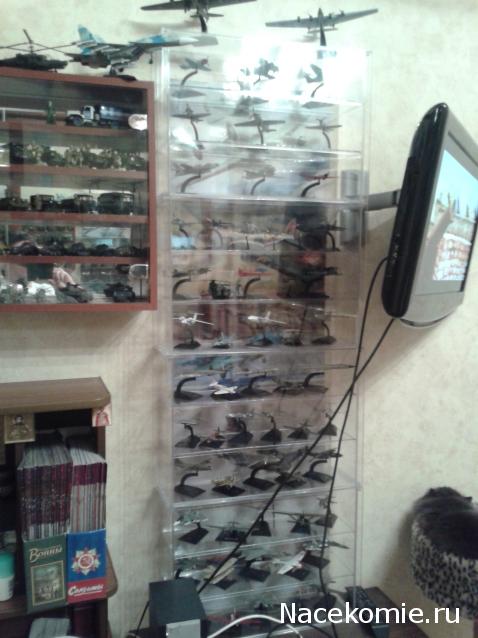 Условия хранения вашей коллекции