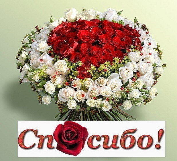 Anastasia24 Мой маленький мир...или ушла в детство))