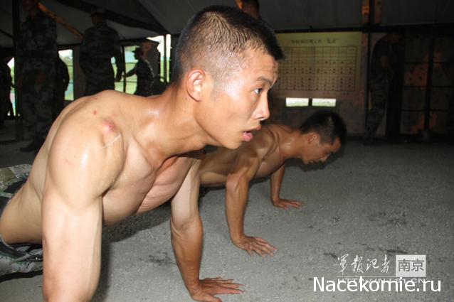 Танки Мира Коллекция - График выхода и обсуждение